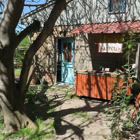 Cabane Tout Confort