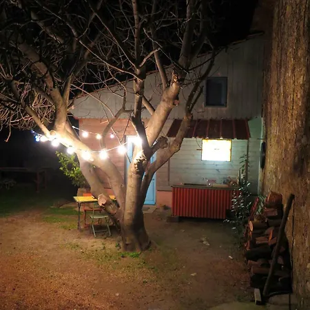 Cabane Tout Confort *