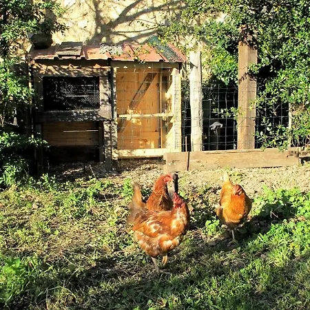 Cabane Tout Confort *